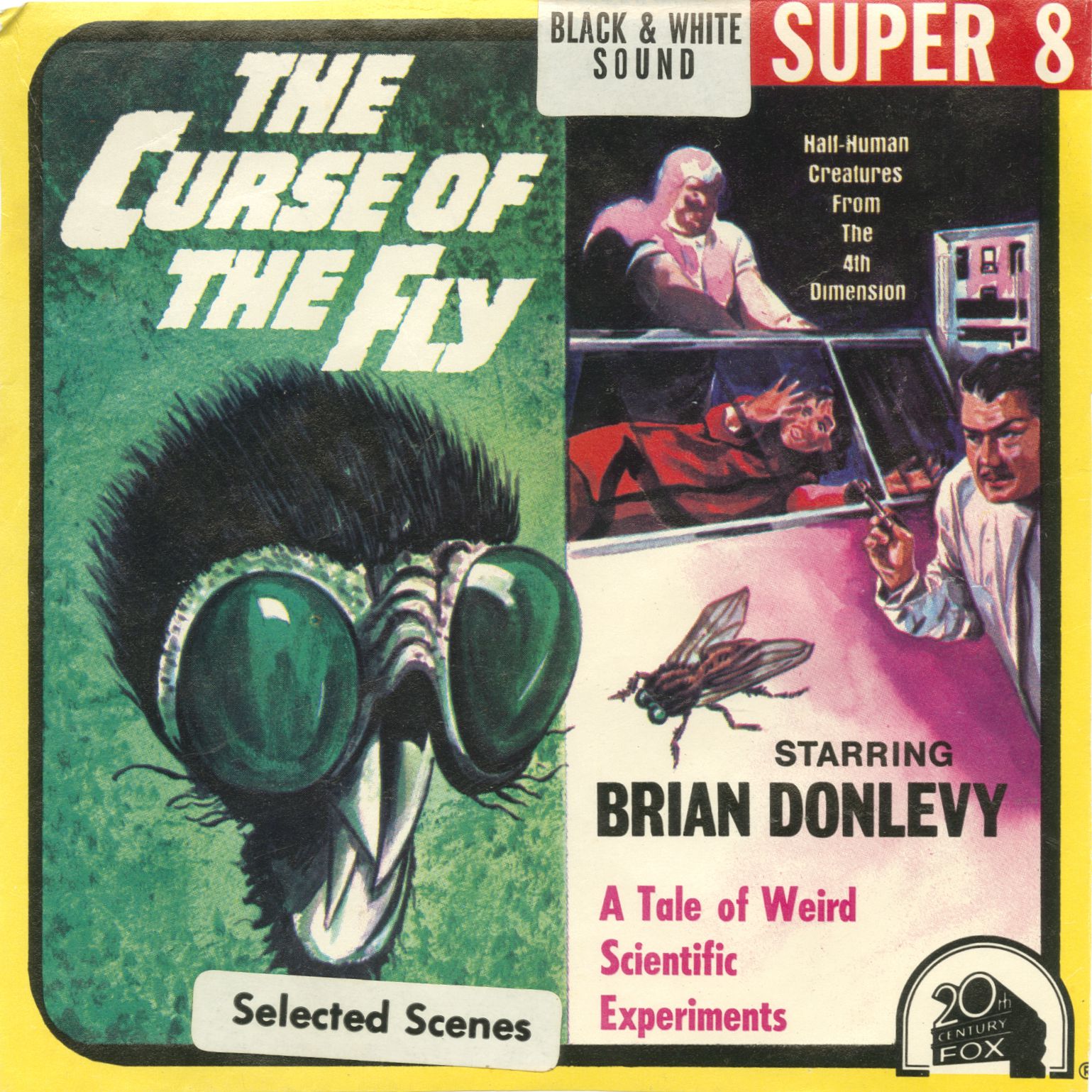 Super8database